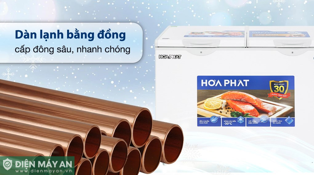 Tủ đông Hòa Phát Inverter 271 Lít HPF BD8271